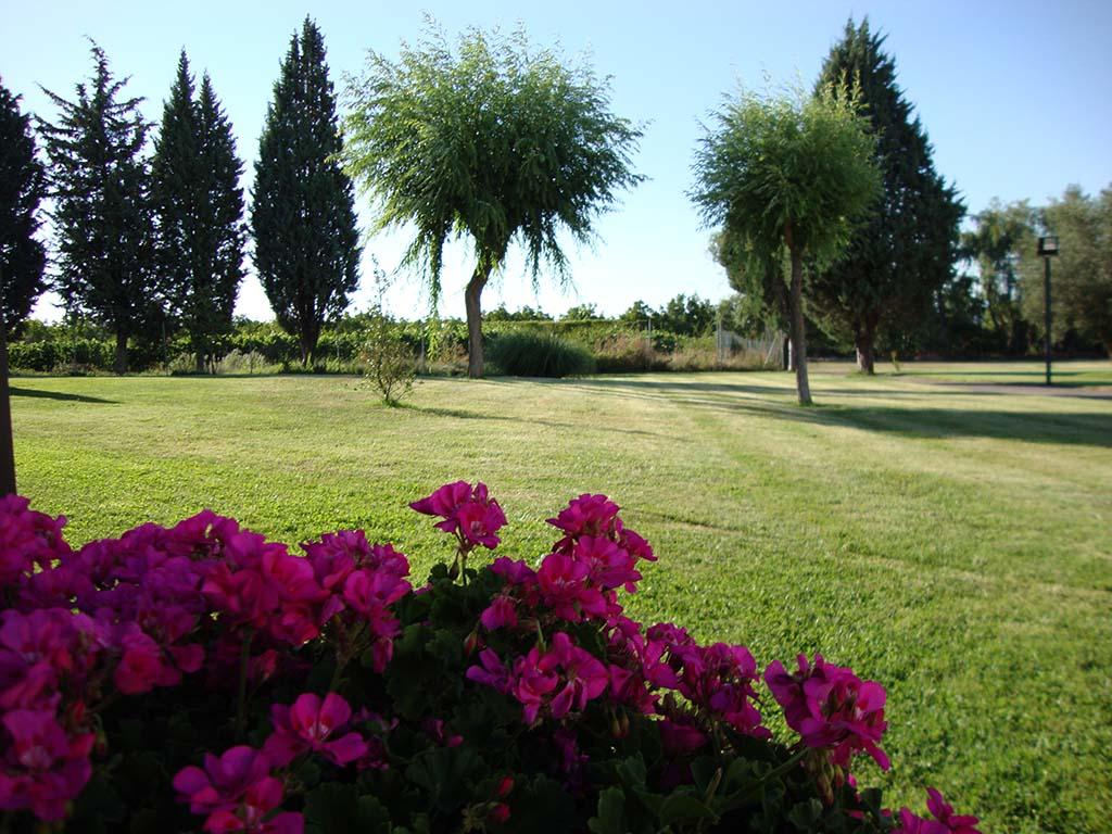 Hotel San Camilo Navarrete Dış mekan fotoğraf