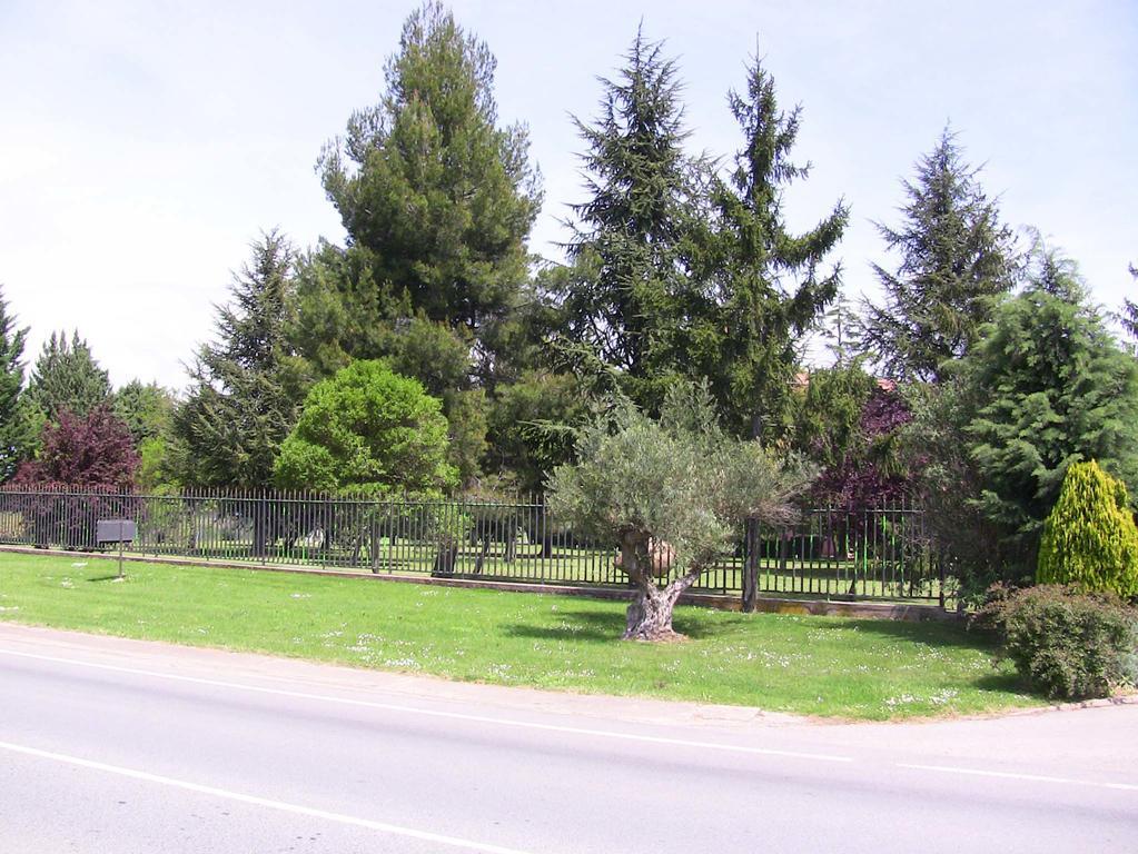 Hotel San Camilo Navarrete Dış mekan fotoğraf