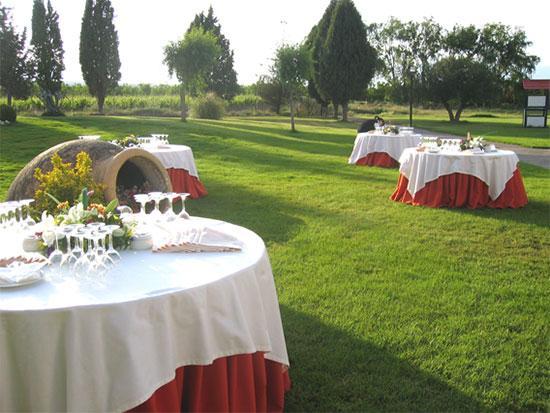 Hotel San Camilo Navarrete Konforlar fotoğraf